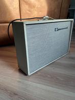 Dynachord Rock amp 20w lampenversterker, Muziek en Instrumenten, Ophalen, Zo goed als nieuw