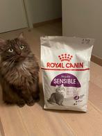 Royal canin sensible 4kg, Enlèvement, Chat