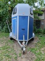 paardentrailer, Ophalen, Zo goed als nieuw, Hout, 2-paards trailer
