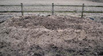 Paardenmest gratis te Schriek. Super kwaliteit ! beschikbaar voor biedingen