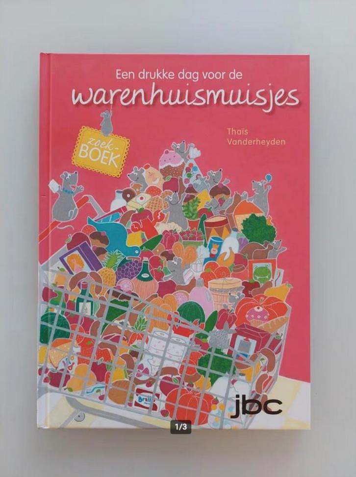 Een drukke dag voor de warenhuismuisjes - Thaïs Vanderheyden, Boeken, Kinderboeken | Kleuters, Zo goed als nieuw, 4 jaar, Ophalen of Verzenden