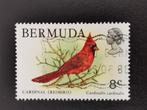 Bermudes 1978 - oiseaux - Cardinal rouge, Amérique centrale, Affranchi, Enlèvement ou Envoi