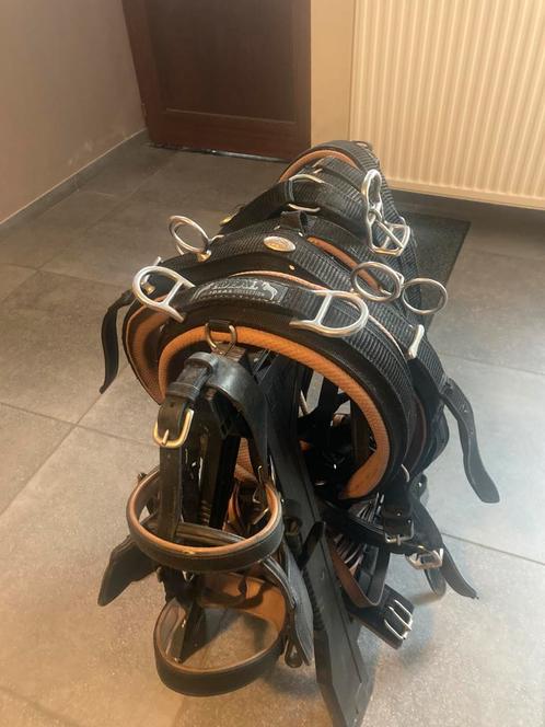 Harnais simple cheval., Dieren en Toebehoren, Paarden en Pony's | Hoofdstellen en Tuigage, Gebruikt, Recreatie, Ophalen