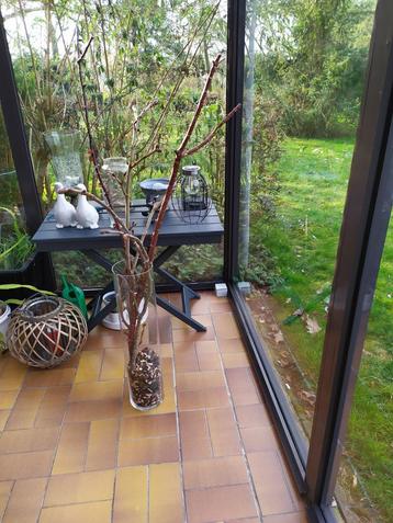 Hoge glazen vaas met wilde kastanjetakken beschikbaar voor biedingen