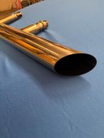 Sportuitlaat kever, Ophalen