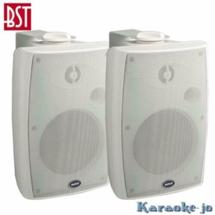 BST-270TW 100Volt Luidspreker set 2-weg 30 Watt, Audio, Tv en Foto, Luidsprekerboxen, Nieuw, Overige typen, Ophalen of Verzenden