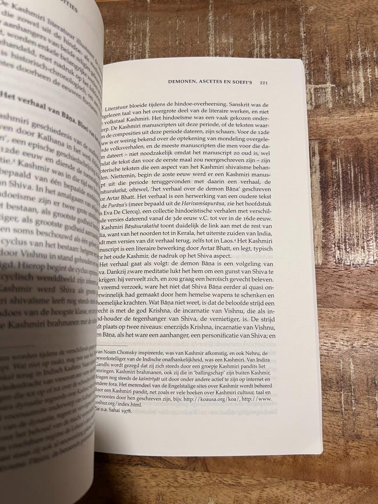 India, een wereld van verhalen - Eva De Clercq & Saartje Ve, Boeken, Ophalen of Verzenden, Zo goed als nieuw, Eva de Clercq & Saartje V