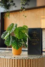 Nieuwe kunstplant Monstera 78 cm, Huis en Inrichting, Ophalen of Verzenden, Nieuw