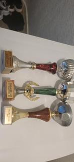 Sport trofeeën, Antiek en Kunst, Antiek | Bestek, Ophalen