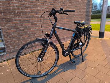 Elektrische fiets Pegasus - Bosch Active - 500Wh. beschikbaar voor biedingen