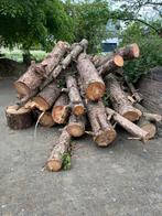 Dennenhout GRATIS, Tuin en Terras, Brandhout, Ophalen