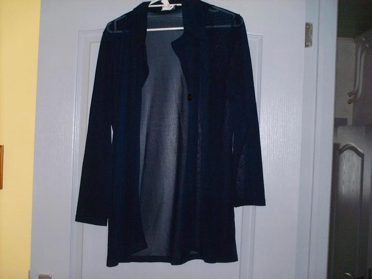 a vendre pull gilet pour dame, Kleding | Dames, Truien en Vesten, Gedragen, Blauw, Ophalen of Verzenden