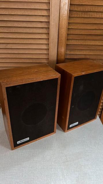 Beltone stereopaar boxen beschikbaar voor biedingen