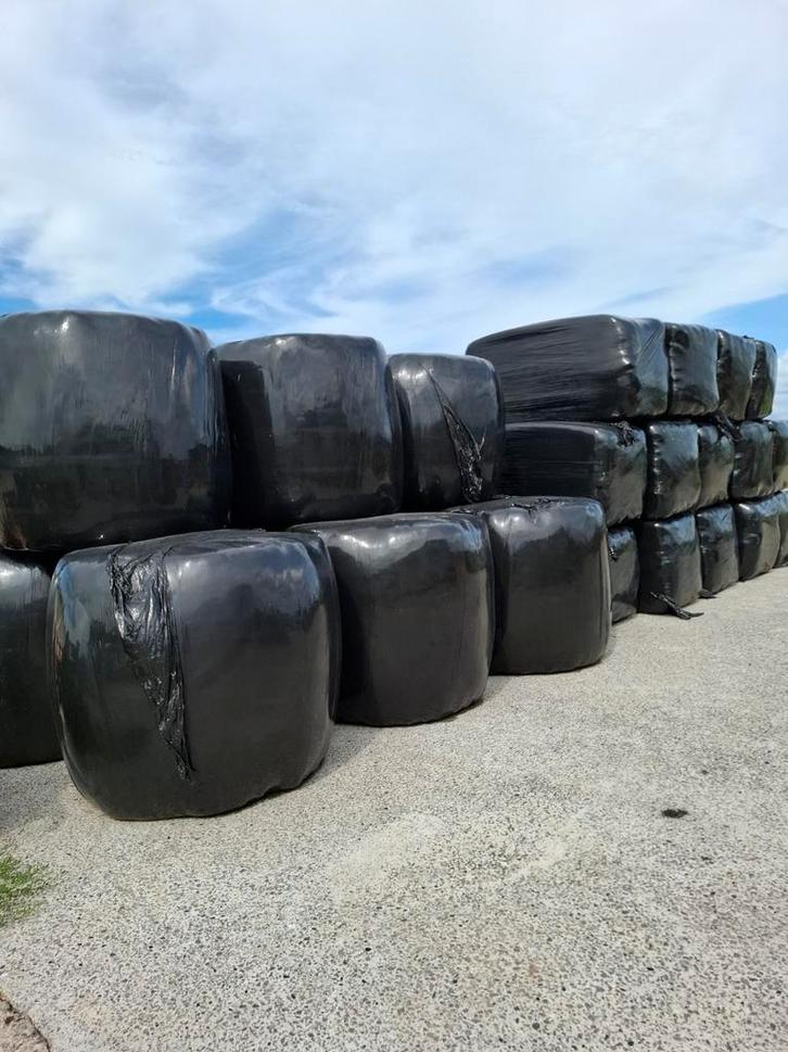 Hooi en voordroog, Dieren en Toebehoren, Dierenvoeding, Ophalen