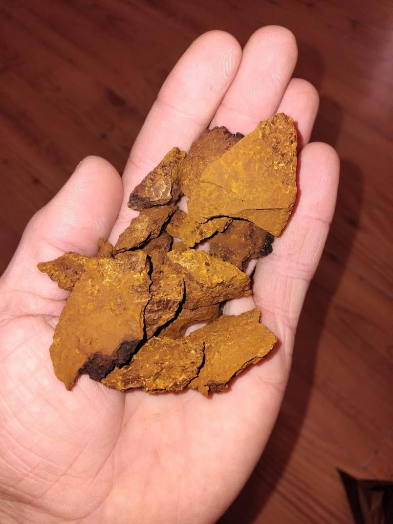 BIO Wilde berken chaga., Diversen, Levensmiddelen, Ophalen of Verzenden