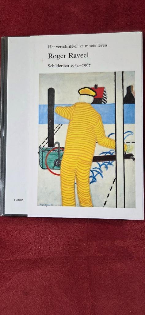 Raveel * Het verschrikkelijke mooie leven * 1934-1967, Antiek en Kunst, Kunst | Overige Kunst, Ophalen of Verzenden