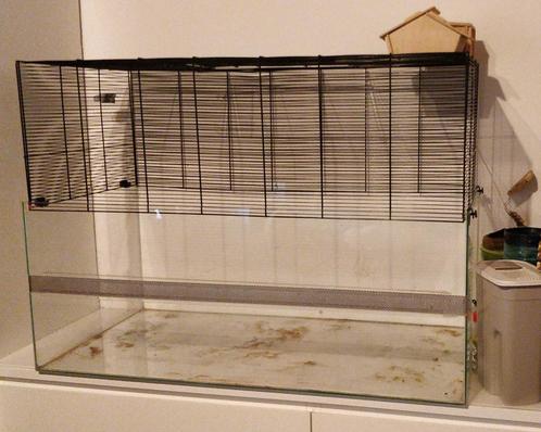 Grote kooi met glazen graafdeel + toebehoren, Animaux & Accessoires, Rongeurs & Lapins | Cages & Clapiers, Comme neuf, Cage, 60 à 90 cm