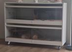 Caviakooi, Ophalen, Kooi, 90 cm of meer, Cavia