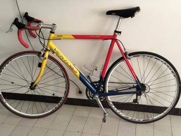 Koers fiets in goed staat werkt prefect beschikbaar voor biedingen