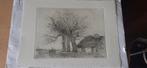 tekening copie ets de 3 linden, Antiek en Kunst, Ophalen of Verzenden