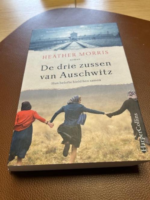 De drie zussen van Auschwitz, Boeken, Romans, Zo goed als nieuw, België, Ophalen of Verzenden