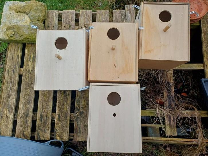 Broedblokken grote parkiet 10 ps, Dieren en Toebehoren, Vogels | Toebehoren, Ophalen