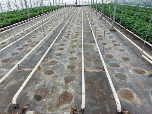 verwarmingsbuizen Tuinbouw, Doe-het-zelf en Bouw, Buizen en Afvoer, Gebruikt, Rechte buis, Overige materialen, 4 tot 6 meter, 40 tot 60 mm