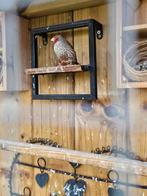 Zangvogel, Dieren en Toebehoren