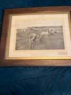 Oude foto Ontario Canada, vlaspluk, Antiek en Kunst, Ophalen