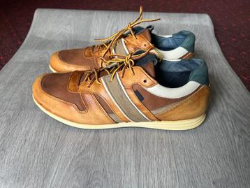 Chaussures hommes (Mc.GREGOR,) beschikbaar voor biedingen