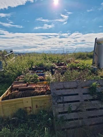 Boomse pannen - in goeie staat, Doe-het-zelf en Bouw, Dakpannen en Dakbedekking, Ophalen
