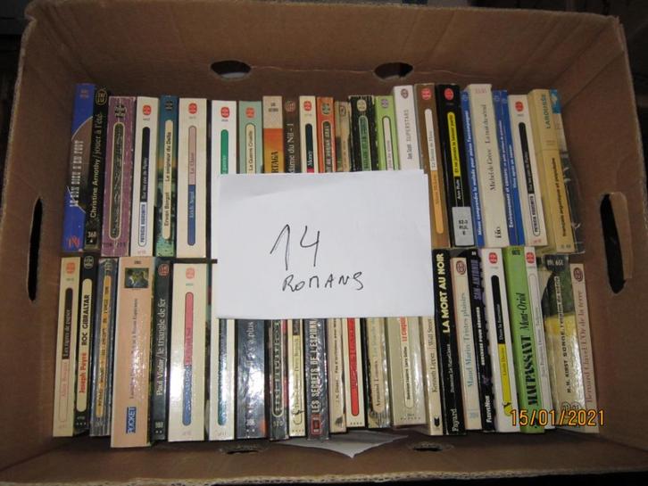 Livres +- 49 romans caisse n14 adam D, Boeken, Romans, Gelezen, Ophalen