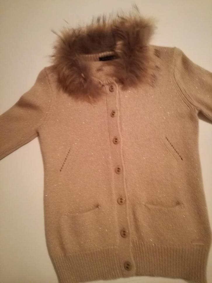 beige vestje met kraag uit wasbeerhond merk River Woods, Kleding | Dames, Truien en Vesten, Nieuw, Maat 34 (XS) of kleiner, Beige