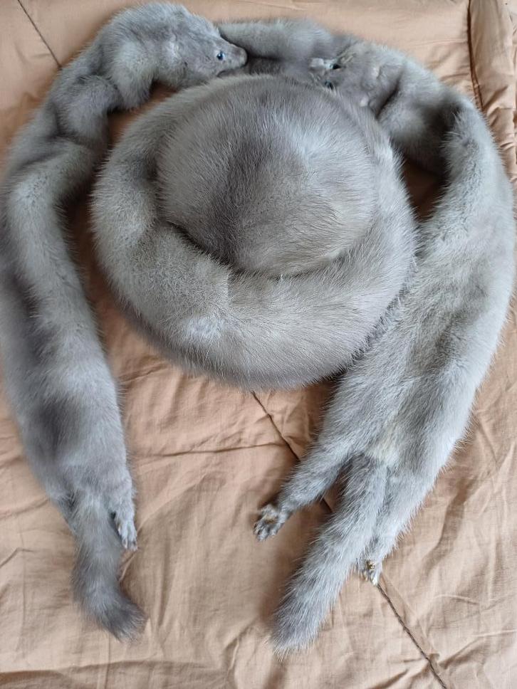 stola en hoed in nerts aan superprijs!, Kleding | Dames, Hoeden en Petten, Zo goed als nieuw, Hoed, Ophalen