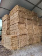 Tarwe stro en voordroog hooi, Dieren en Toebehoren, Paarden