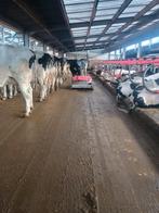 Lely discovery collector, Dieren en Toebehoren