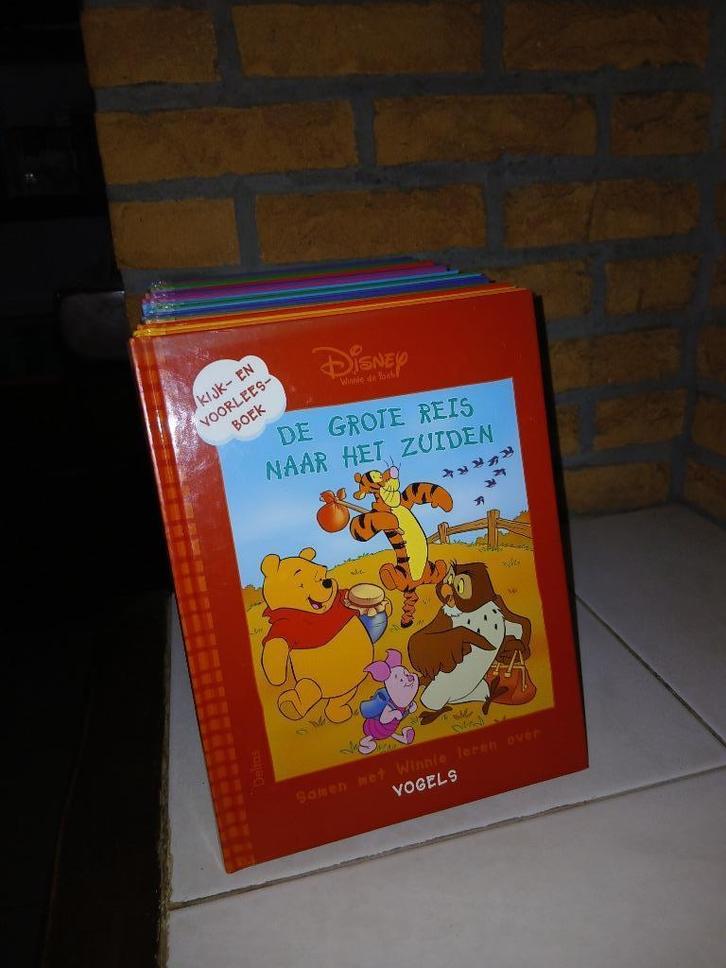 winnie de poeh kijk en voorleesboeken, Boeken, Kinderboeken | Jeugd | onder 10 jaar, Zo goed als nieuw, Ophalen of Verzenden