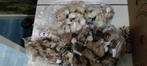 kleine knuffels, Ophalen, Nieuw