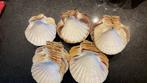 Vis schelpen, Huis en Inrichting, Ophalen, Gebruikt, Overige materialen, Schaal of Schalen