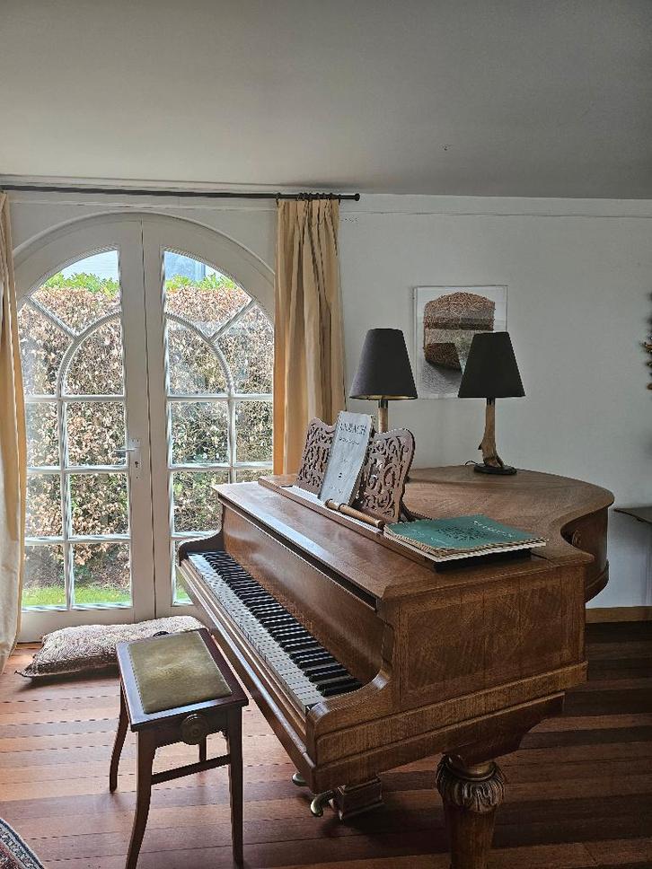 PIANO vleugel Pleyel, Muziek en Instrumenten, Piano's, Gebruikt, Piano, Bruin, Ophalen