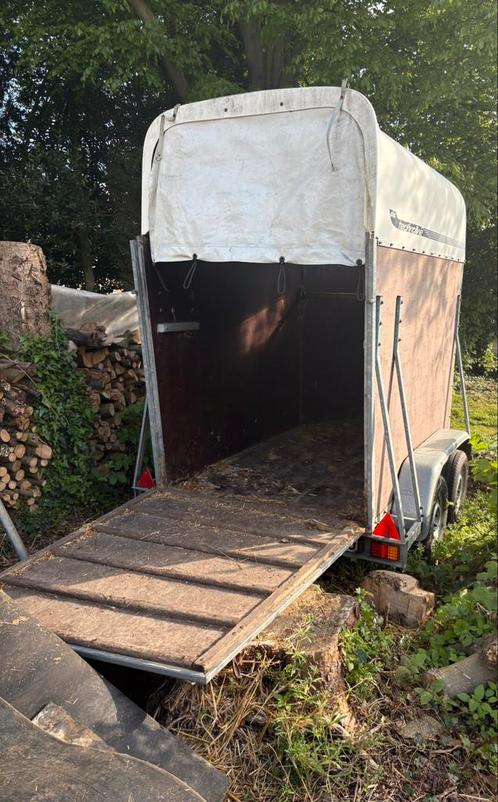 Van 1 paard en een half, Dieren en Toebehoren, Paarden en Pony's | Trailers en Aanhangwagens, Gebruikt, 1½-paards trailer, Hout