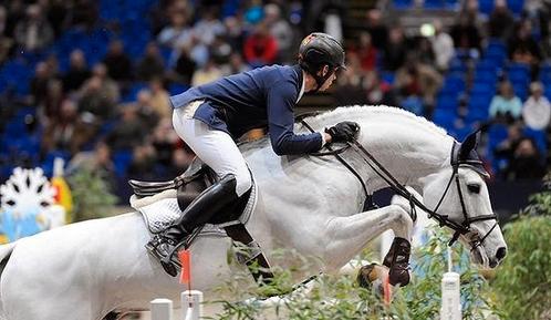 Diepvries rietjes te koop, Dieren en Toebehoren, Paarden en Pony's | Dekhengsten en Fokmerries