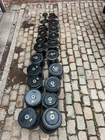Lot dumbells M&F beschikbaar voor biedingen
