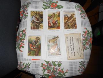 Postkaarten.carte Postale .Reeks 15.Vogels.Oiseaux beschikbaar voor biedingen