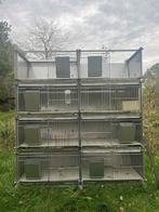 Groot inox konijnenhok, Dieren en Toebehoren, Ophalen, 110 cm of meer, Zo goed als nieuw, Cavia