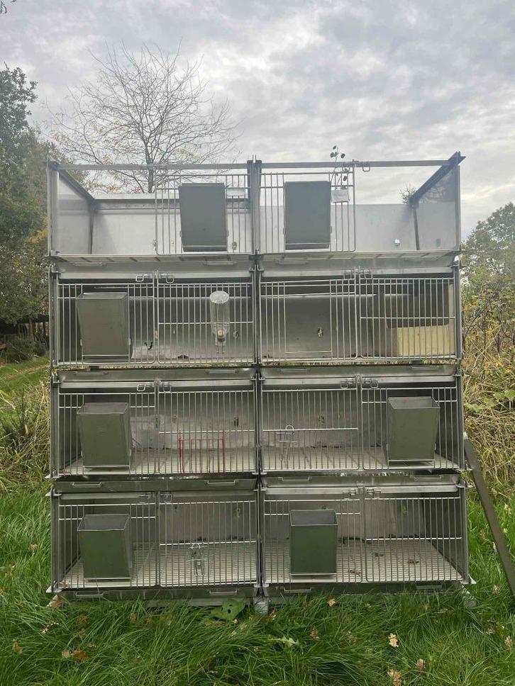 Groot inox konijnenhok, Dieren en Toebehoren, Knaagdieren en Konijnen | Hokken en Kooien, Zo goed als nieuw, Hok, 90 cm of meer