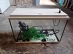 Aquarium + toebehoreb, Dieren en Toebehoren, Ophalen of Verzenden, Zo goed als nieuw