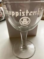 Westmalle, Collections, Marques de bière, Comme neuf, Autres marques, Enlèvement, Verre ou Verres