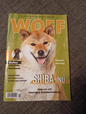Woef: Shiba inu, Enlèvement ou Envoi, Comme neuf