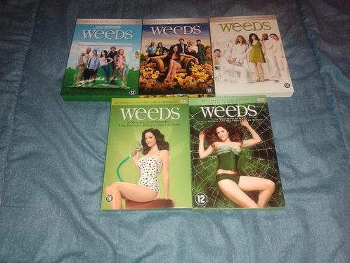 Te koop in een dvd-box de complete serie Weeds van seizoen 1, Cd's en Dvd's, Dvd's | Tv en Series, Zo goed als nieuw, Drama, Boxset